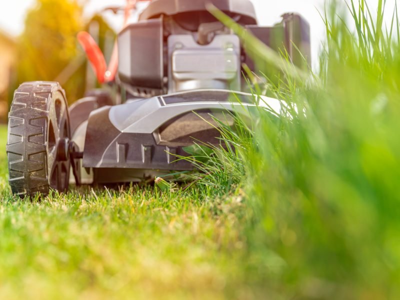 motor mower to mow the lawn next to the family house